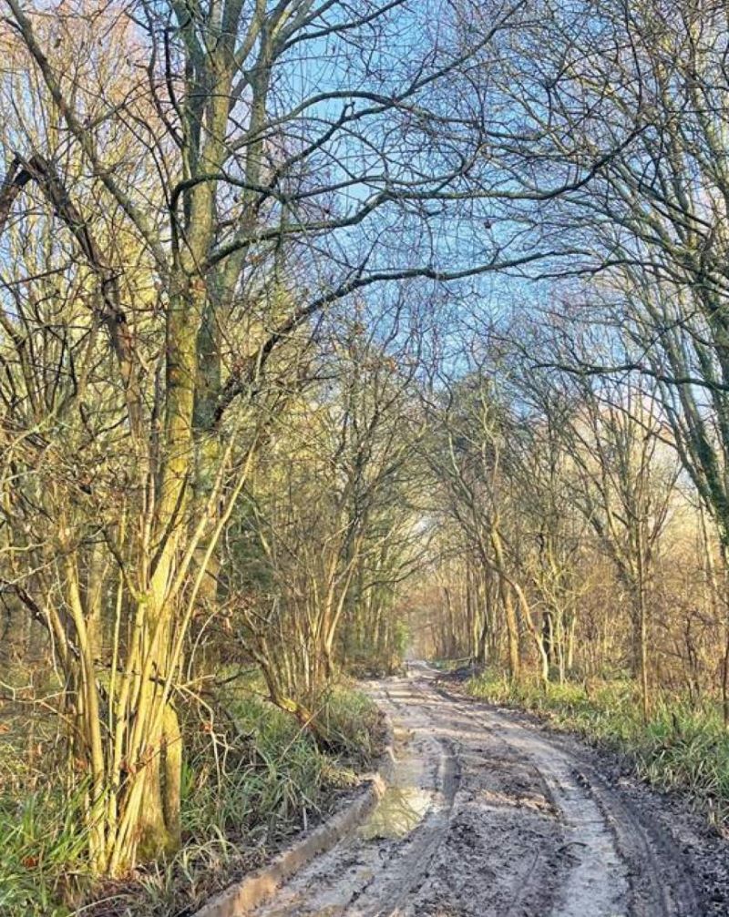 Land to the north side of, Charlwood Lane, Newdigate, Dorking, West Sussex, RH6 0EL -  Strettons