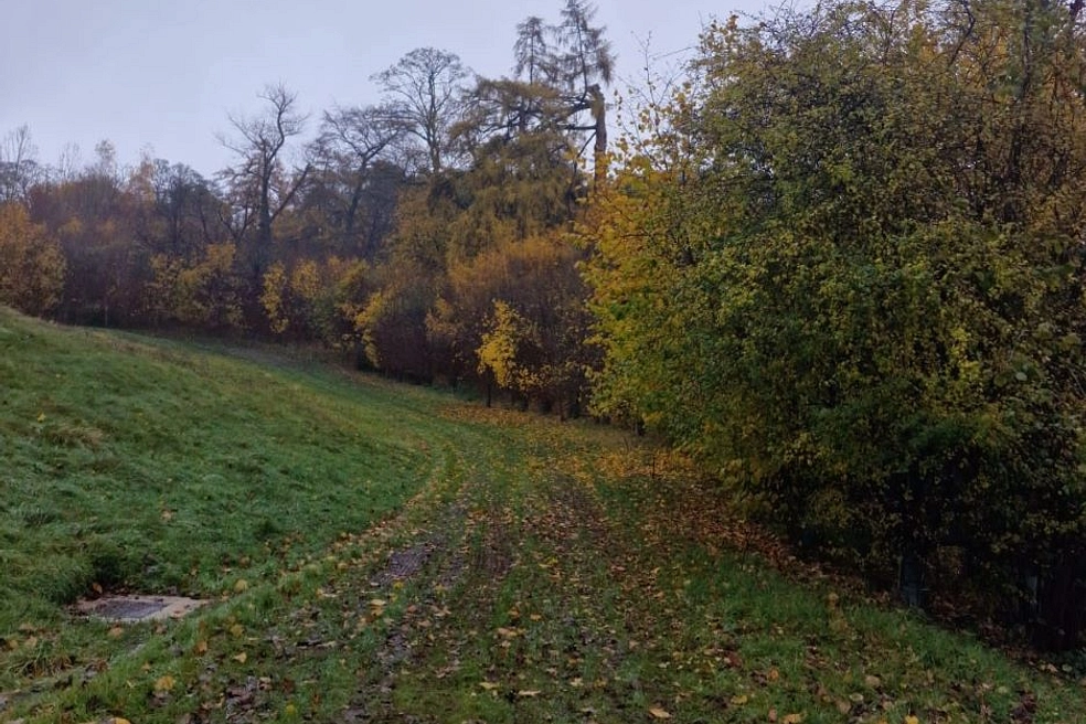 Land Development through auction in Cell Lodge Garden Plot, Church End